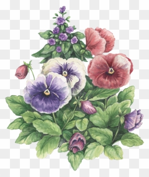 Photoshop, Papo, Decoupage, Pictures Of Flowers, Colouring - Potted Plants Watercolor