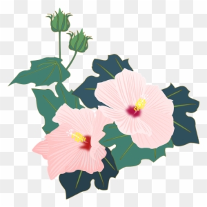 Cartoon Hibiscus Flower 26, Buy Clip Art - Pink Flowers