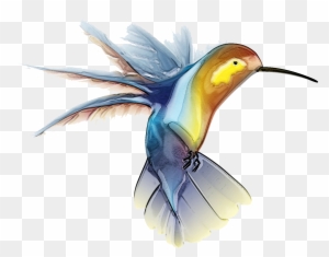 Hummingbird Clipart Png Image - Native American Hummingbird Symbol