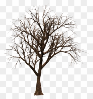 Brushes, Patterns Etc - Brown Branch Twig Tree Led Tree