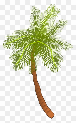 Palm, Tree, Ocean, Summer, Vacation, Beach, Palm Leaf - Coconut Tree Clip Art