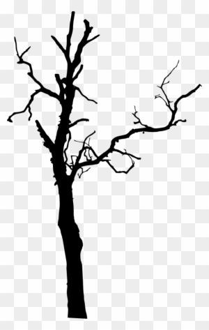 575 × 1500 Px - Dead Tree Silhouette Png