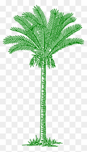 Palmtree Leaves Beach Tropical Png Image - Lines Drawing Palm Tree