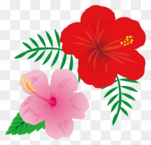 ハイビスカスの花イラスト - Hawaiian Hibiscus