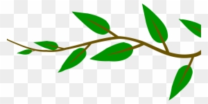 Spring Trees Clip Art Download - Branch With Leaves Png