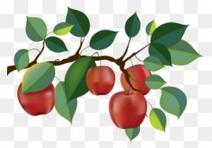 Top 88 Apple Tree Clip Art - Apple Tree Branch Clipart