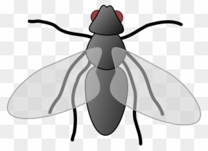 Top 91 Fly Clipart - Fly Cliparts