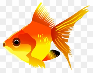 Cartoon Goldfish - Gold Fish Cartoon Png