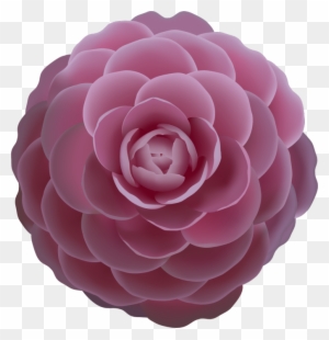 Camellia Rose Clip Art - Adobe Illustrator