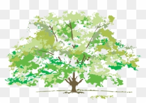 Web Design & Development - Spring Trees Clip Art