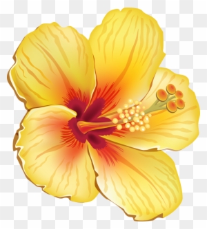 Tropical Clipart Orange Hibiscus - Yellow Hibiscus Shower Curtain