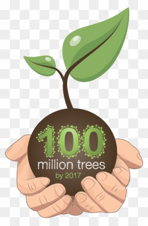 Eno Brasil 100 Milhões De Árvores Plantadas Até - Eno Tree Planting Day
