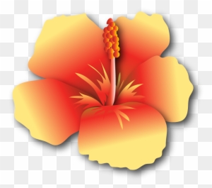 Hibiscus-yr $500 - - Hawaiian Hibiscus