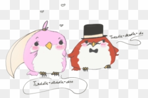 Love Birds - Lovebird