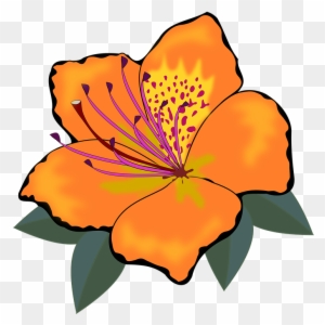 Hibiscus Flower Outline 7, Buy Clip Art - Orange Flowers Clip Art