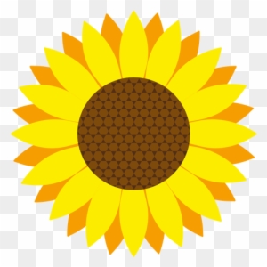 Sunflower Head Vector Transparent Png - Sunflower Growing Competition