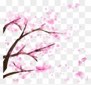 Blooming Cherry Tree, Cherry Blossom，sakura, Cherry, - Cherry Blossom Tree Transparent Backfround