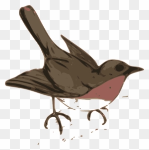 Funny Cartoon Bird Clip Art Images - Cartoon On Cuckoo Bird - Free Transparent PNG Clipart Images Download Funny Cartoon Bird Clip Art Images - Cartoon On Cuckoo Bird - Free Transparent PNG Clipart Images Download
