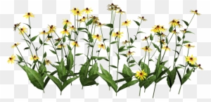 Wildflower Clipart Flowering Plant - New Flowers Baby Onesies