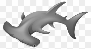 Hammerheadshark Png Clipart - Hammerhead Shark Picture Png