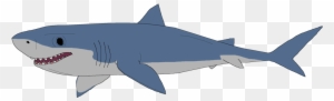 Great White Shark Clipart Drawn - Great White Shark Drawing
