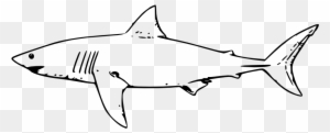 Clip Art Details - Great White Shark Outline