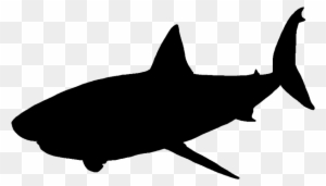 Great White Shark Silhouette Png