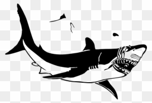 Hammerhead Shark Clipart Bclipart Free Clipart Images - Great White Shark Clip Art