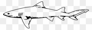 Shark Animal Sea Swim Ocean Fins Gills Dan - Hammerhead Shark Fork Length