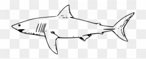 Animals ~ Coloring Pages Animals Whale Shark Drawing - Great White Shark Outline
