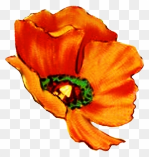 Digital Scrapbooking Flowers Poppy Head - Flowers Hd Single Png