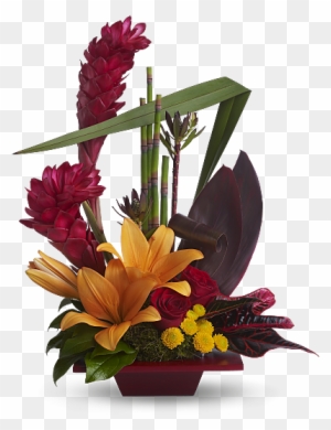 Shop For Tropical Flowers - Contemporary Flower Arrangement Ideas