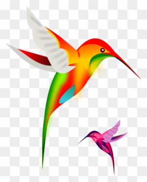 Free Colibri Birds Colorful Hummingbirds Throw Blanket Free Transparent Png Clipart Images Download