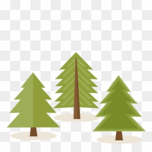 Three Pine Trees Clip Art At Clker Vector Clip Art - Pine Tree Clipart Transparent Background