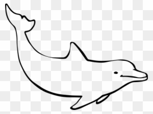 Dolphin Ocean Mammal Nature Marine Animal - Drawing Of A Dolphin - Free  Transparent PNG Clipart Images Download