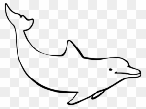 Dolphin Ocean Mammal Nature Marine Animal - Drawing Of A Dolphin - Free Transparent PNG Clipart Images Download Dolphin Ocean Mammal Nature Marine Animal - Drawing Of A Dolphin - Free Transparent PNG Clipart Images Download