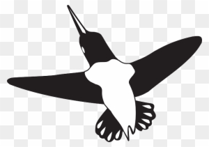 Flying, Wings, Art, Hummingbird, Animal, Beak - Black And White Hummingbird Shower Curtain