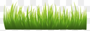 Green Grass Clipart - Green Grass Clipart Png