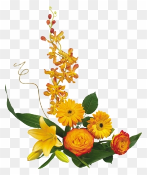 Clipart Cadeau Anniversaire Clipart Cadeau Anniversaire Free Transparent Png Clipart Images Download Clipart Cadeau Anniversaire Clipart Cadeau Anniversaire Free Transparent Png Clipart Images Download