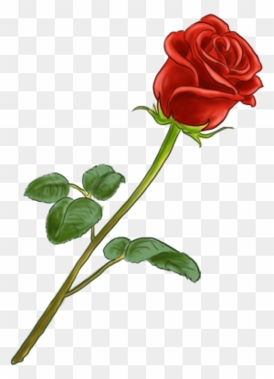 La Fleur Est Parfaite Nice Dessin De Rose En Couleur Dessin De Rose En Couleur Free Transparent Png Clipart Images Download