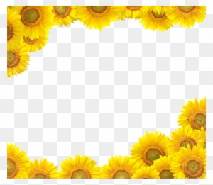 Download Sunflower Corner Border Clipart Download - Sunflower ...