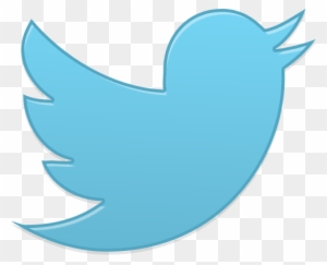 Img A1621499aa1 Bird Twitter New Single - Social Media Icons Single