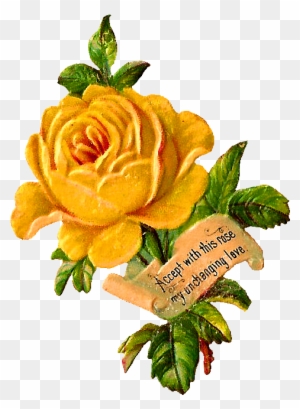 Yellow Rose Clip Art - Garden Roses