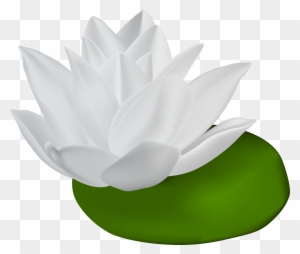 White Water Lily Transparent Png Clip Art Image - White Water Lily Png