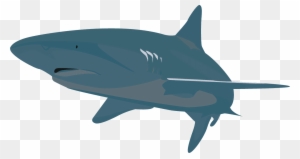 Digital Illustrations - Great White Shark