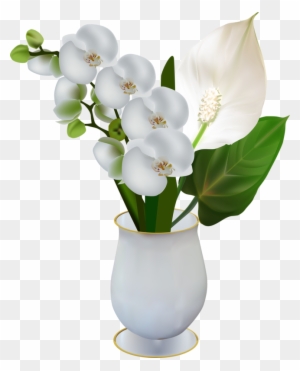 Publicat De Eu Ciresica La - White Orchid Flowers Clipart