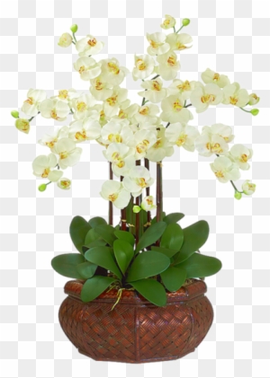 Flowers - Orchid Flower Artificial Arrangements