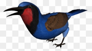 Free High Resolution Graphics And Clip Art - Birds In High Resolution Clipart