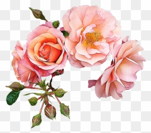 Garden Roses Flower Pink Clip Art - Wedding Day* Gold Love!!!