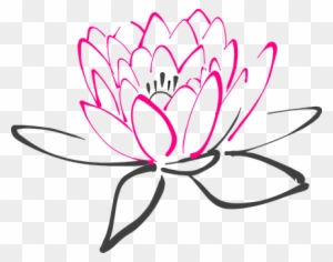 Water Lily Flower Pink Lotus Lily Blossom - Water Lily Vector Png